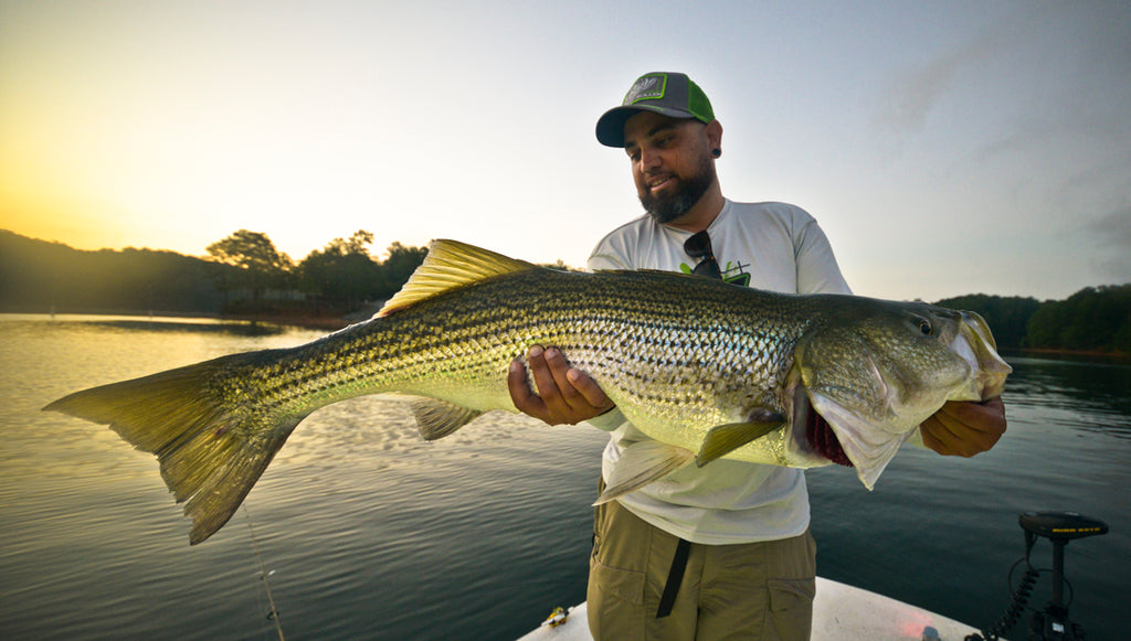 Kickin' it in Ellijay